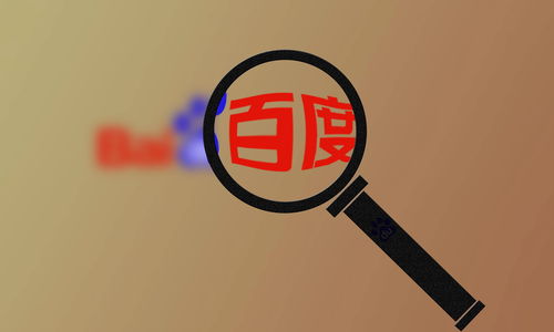 如何选择合适的服务器来搭建蜘蛛池